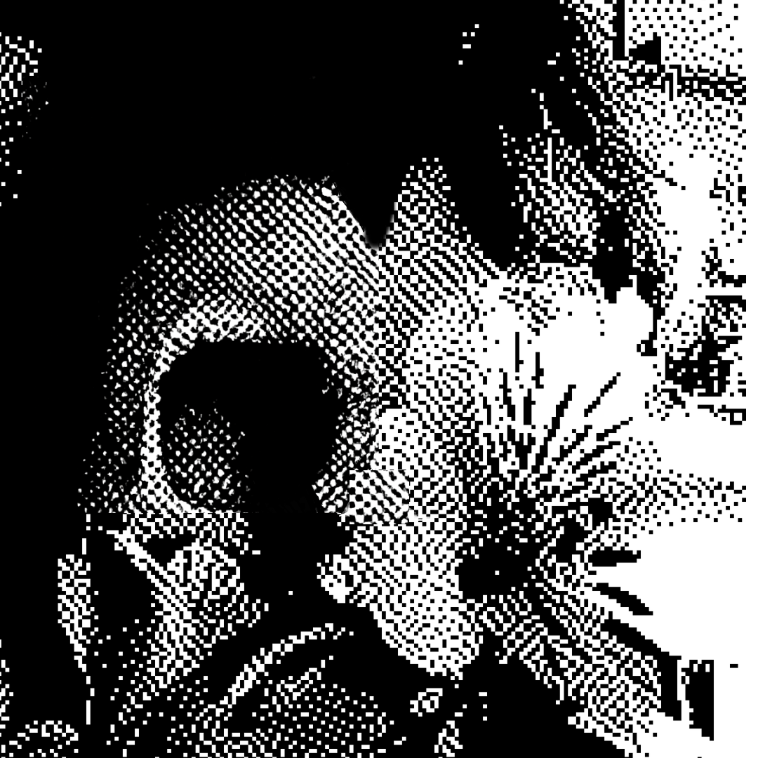 Skeletal portrait